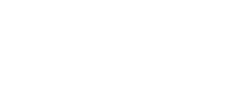 Arista Polymers